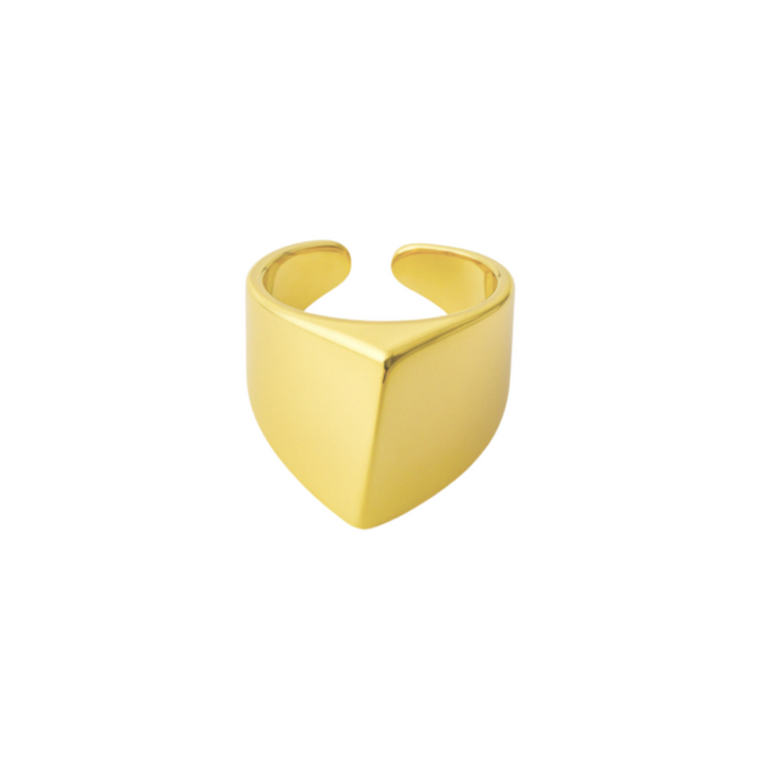 ANEL VECTOR - REVESTIDO A OURO 18K