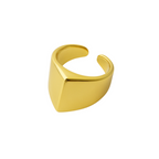 ANEL VECTOR - REVESTIDO A OURO 18K